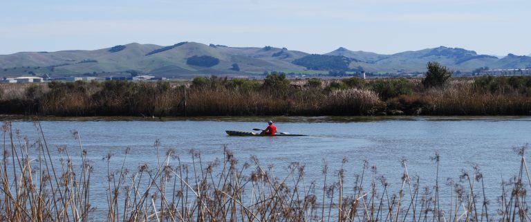Lone paddler looking toward marsh and hills in distance