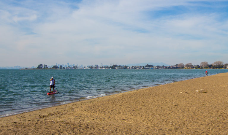 A standup paddler in the water just offshore at a sandy beach