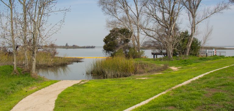 Small dirt path leading to a small water access