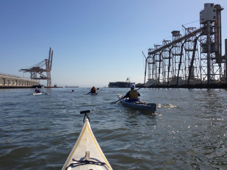 Kayak view of kayakers paddling alongside towering port cranes