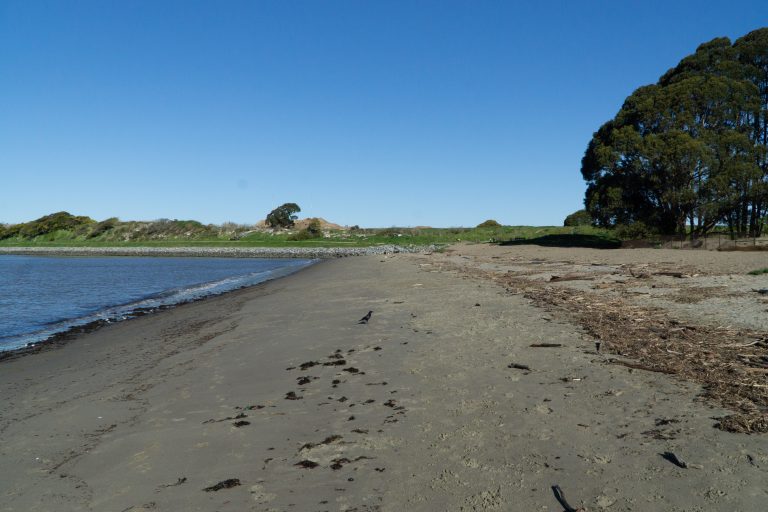 A sandy beach with grass and riprap in the distance.