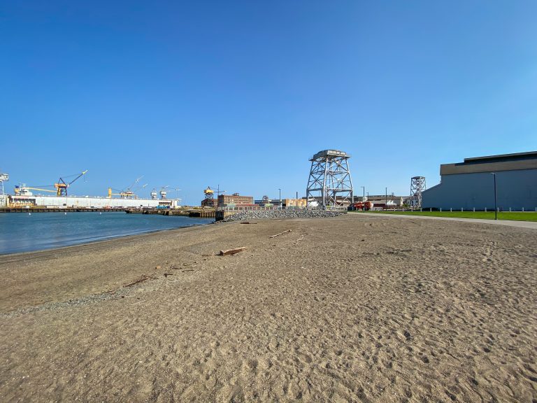 Sandy beach next to water and cranes in distance