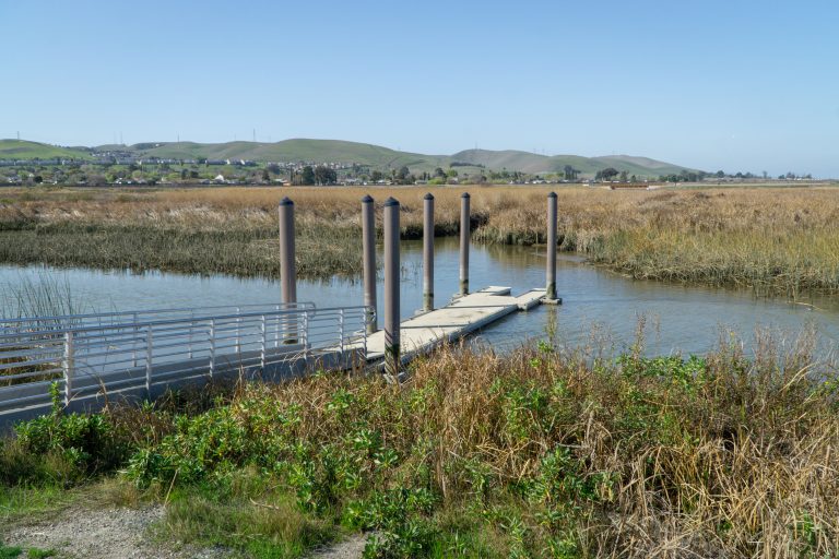 Accessible ramp to a low-freeboard dock with a kayak berth